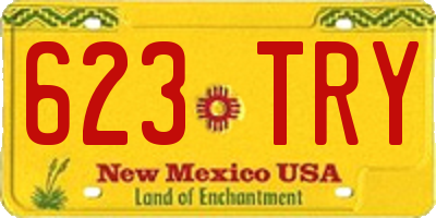 NM license plate 623TRY