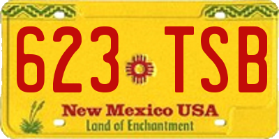 NM license plate 623TSB