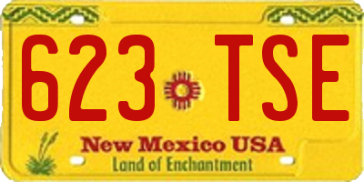 NM license plate 623TSE