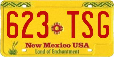 NM license plate 623TSG