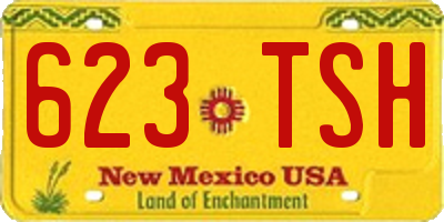 NM license plate 623TSH