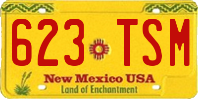 NM license plate 623TSM