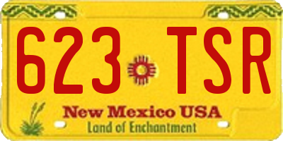 NM license plate 623TSR