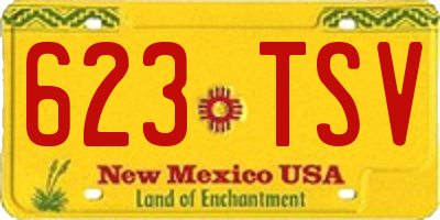 NM license plate 623TSV