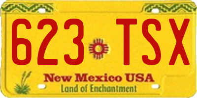 NM license plate 623TSX