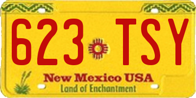 NM license plate 623TSY