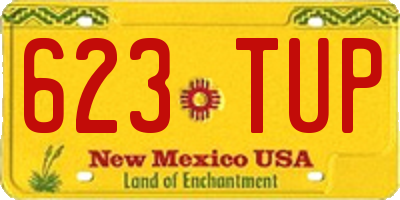 NM license plate 623TUP