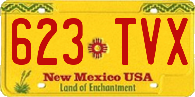 NM license plate 623TVX