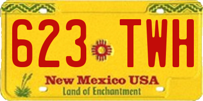NM license plate 623TWH