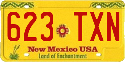 NM license plate 623TXN