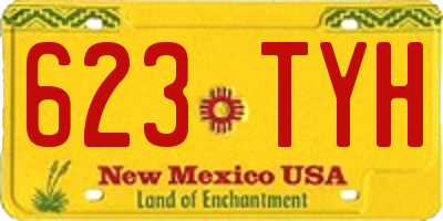 NM license plate 623TYH