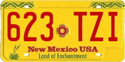 NM license plate 623TZI