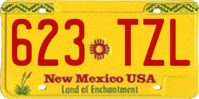 NM license plate 623TZL