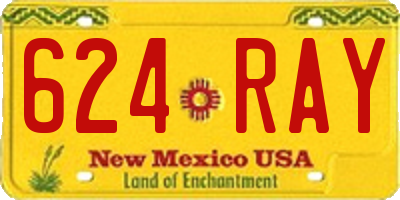 NM license plate 624RAY