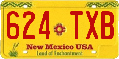 NM license plate 624TXB
