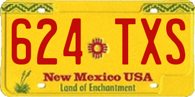NM license plate 624TXS