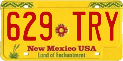 NM license plate 629TRY