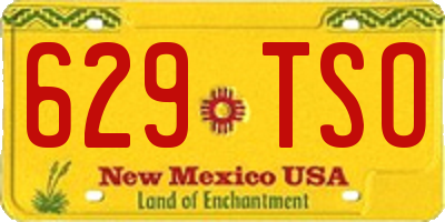 NM license plate 629TSO