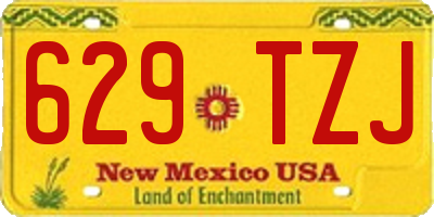 NM license plate 629TZJ