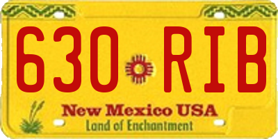 NM license plate 630RIB