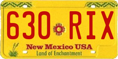 NM license plate 630RIX