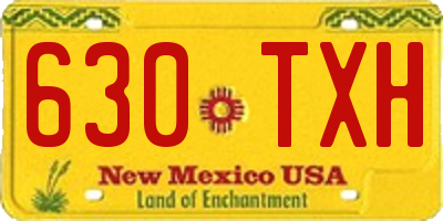 NM license plate 630TXH