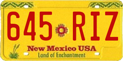 NM license plate 645RIZ