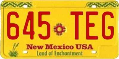 NM license plate 645TEG
