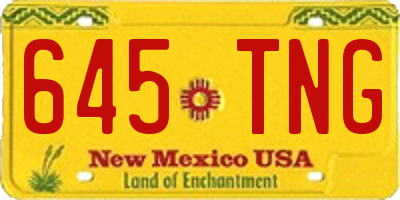 NM license plate 645TNG