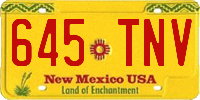 NM license plate 645TNV