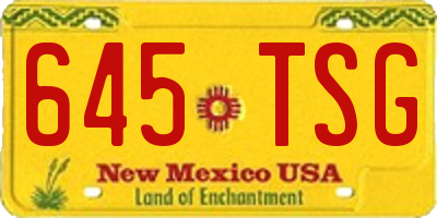 NM license plate 645TSG