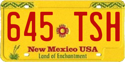 NM license plate 645TSH