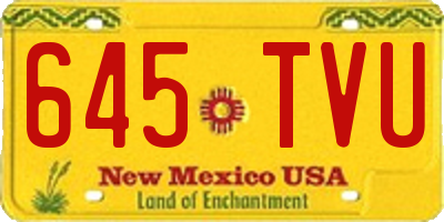 NM license plate 645TVU