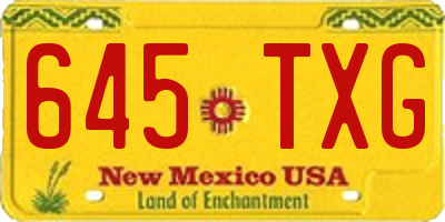 NM license plate 645TXG