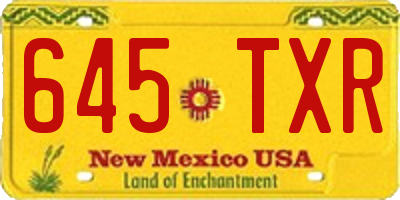 NM license plate 645TXR