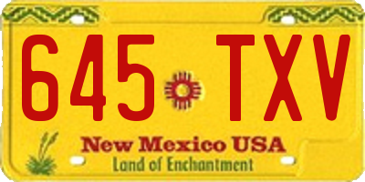 NM license plate 645TXV