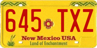 NM license plate 645TXZ