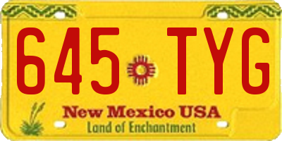NM license plate 645TYG