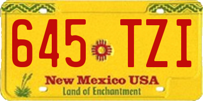 NM license plate 645TZI
