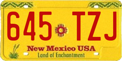 NM license plate 645TZJ