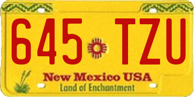 NM license plate 645TZU