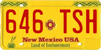 NM license plate 646TSH