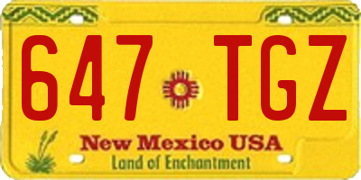 NM license plate 647TGZ