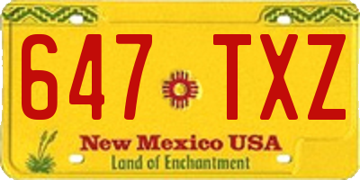 NM license plate 647TXZ