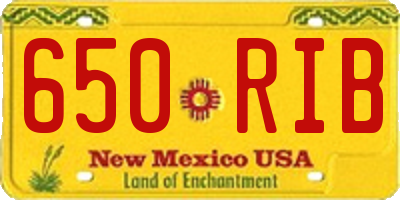 NM license plate 650RIB
