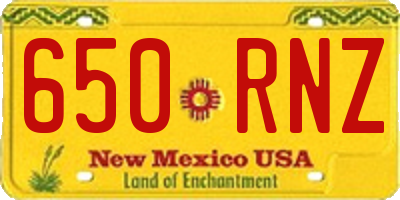 NM license plate 650RNZ