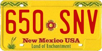 NM license plate 650SNV