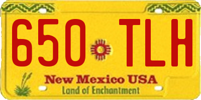 NM license plate 650TLH