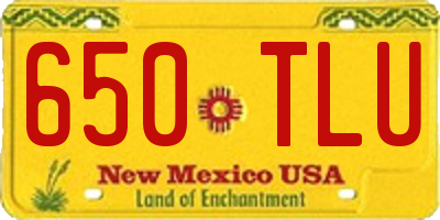 NM license plate 650TLU