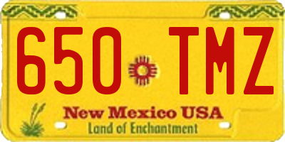 NM license plate 650TMZ